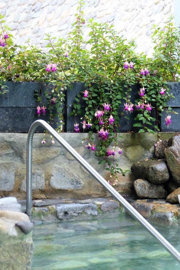 Hotel Termales Tierra Viva Manizales Exterior photo